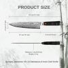 Qulajoy 8 Inch Japanese Chef Knife,67 Layers Damascus VG-10 Steel Core,Professional Hammered Kitchen Knife